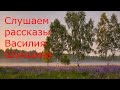 АУДИО: Слушаем рассказы Василия Шукшина //Чудик, Материнское сердце и др.