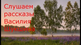 АУДИО: Слушаем рассказы Василия Шукшина //Чудик, Материнское сердце и др.