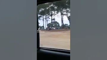 اليوم رانا عايشين غدوة يقولو متنا 