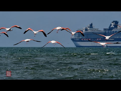 Η ανασκόπηση του 2023 μέσα από τη ματιά των φωτορεπόρτερ του ΑΠΕ-ΜΠΕ/ Φύση