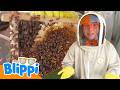 ブリッピーとハチのぼうけん 🐝🍯 はちみつっでどうやってできる？ | シンガポールアドベンチャー | ブリッピー 日本語 - 幼児向け教育動画 Blippi