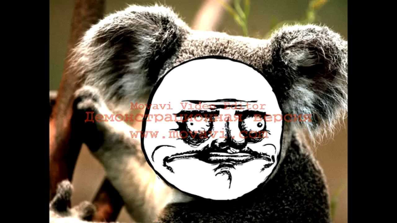 Doom Boom Канал (Начало)