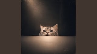 How can i help u today