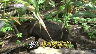 정글의법칙(김병만,김성수,조여정) 130927 #27(5)