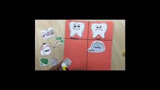 Wk7 Art Thurs - Dental Health Sorting Chart