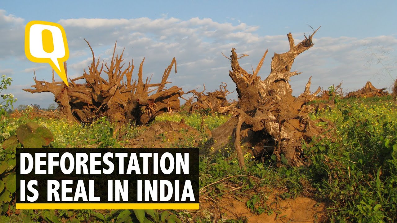 case study of deforestation in kerala