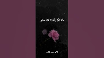 القارئ #محمد_النقيب #سورة_النور ٢١ | ﴿يا أيها الذين آمنوا لا تتبعوا خطوات الشيطان }
