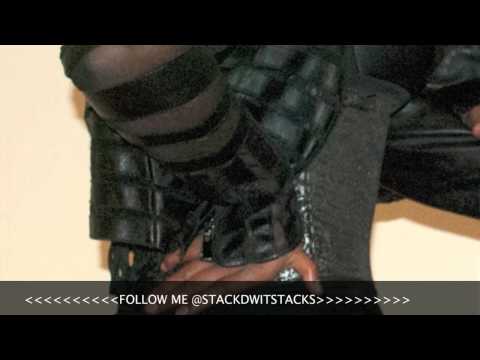 YG-BITCHES AINT SHIT FEAT TYGA NIPSEY HUSSLE w/ TRANSSEXUAL RAPPER @IMLADYBREE