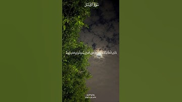 سورة الزمر | الشيخ حاتم فريد الواعر #حاتم_فريد #المصحف #قرآن #quran