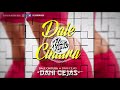 Dani Cejas - Dale Cintura | Flow Remix 2017