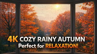 4K Cozy Rainy Autumn Window 🍁 Relaxing TV Wallpaper | Ambient Nature Background  screenshot 5