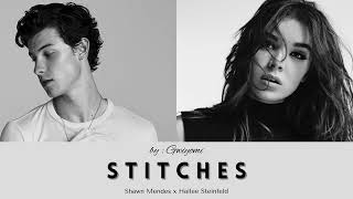 Shawn Mendes duet Stitches with Hailee Steinfeld lyrics Resimi