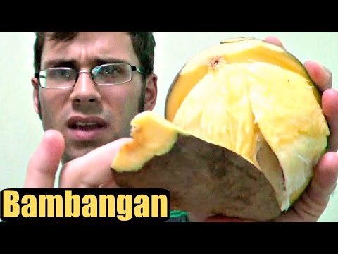 Bambangan Mango (Mangifera pajang) - Weird Fruit Explorer Ep 165