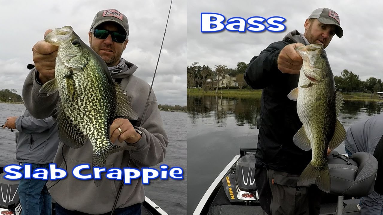 Slab Crappie and Lots of Pre-Spawn Florida Largemouth Bass in Orlando,  Florida 