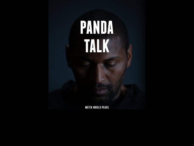 Metta World Peace Interview: Ron Artest Talks Mental Health