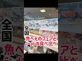 魚べいの正直レビューしていくぅ