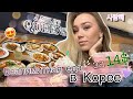 VLOG: Сеул😍Безлимитная еда за 400грн/1000 руб😱/Дневной макияж/Корейский магазин Olive Young 🫒