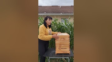 How to assemble a BeeCastle Langstroth Beehive #bees #beehive #beekeeping #honeybees
