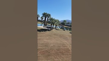 scalping bermuda grass