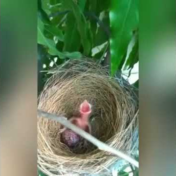 Story' wa lucu banget ngopi (kekinian cah sobo)