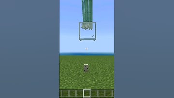 Minecraft logic with turtle eggs 😂 #shorts #minecraft #minecraftshorts
