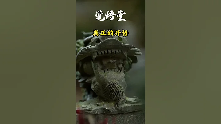 真正的开悟 - 天天要闻
