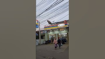 Aku Sayang Kamu. Iwan Fals. Sahrudin channel 14