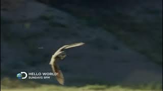 Download lagu Iklan Hello World (2016)