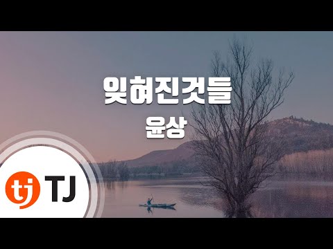 [TJ노래방] 잊혀진것들 - 윤상 / TJ Karaoke