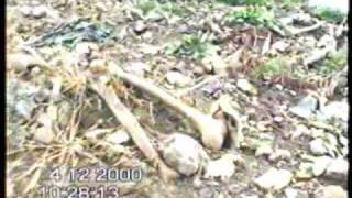 Download Lagu Visegrad Genocide - Kurtalici exhumation MP3