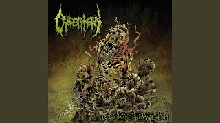 Dysentery - The New Flesh