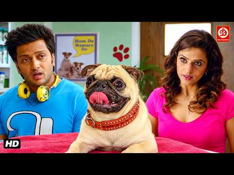 मेरे कुत्ते जैसा मेरा भी खड़ा बुलंद रहता है, मेरा मतलब मेरा जोश | Kyaa Super Kool Hain Hum
