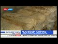 Farmers exporting Mushroom