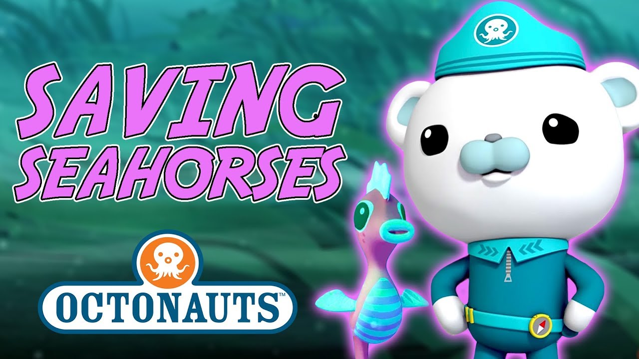 Octonauts - Saving Seahorses | Cartoons for Kids | Underwater Sea Education  - YouTube