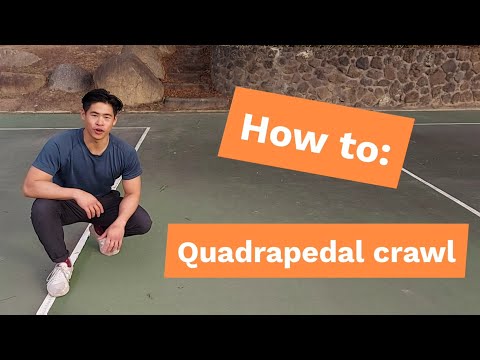 Locomotion Tutorial: Quadrapedal Crawl