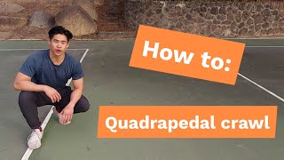 Locomotion Tutorial Quadrapedal Crawl
