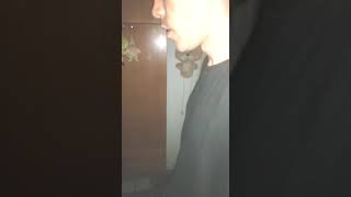 Полтергейст часть 3 (улучшеное освещение) коробка упала ! Полтергейст часть 3 (улучшеное освещение) коробка упала !
