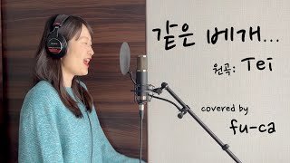 [ENG SUB] Same Pillow - Tei covered by fu-ca