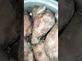 nakaulig bukid (@Angkaylutongbahay1234 )