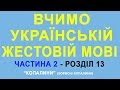 Відеословник жестової мови. Частина 2, розділ 13