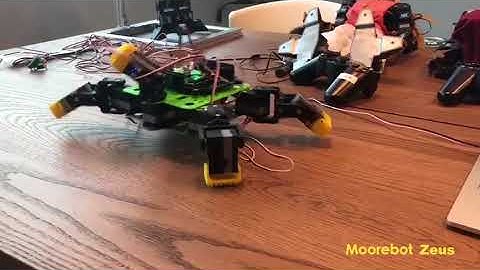 DIY Your Own Moorebot Zeus   STEM