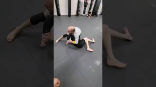 Knee Slice To Kimura