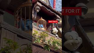 Figaro At Disneyland