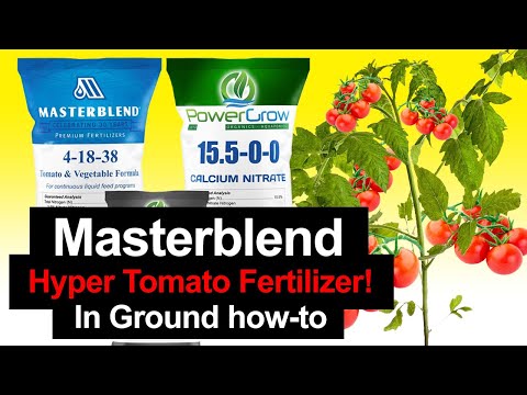 Video: „Master“– trąšos žydintiems augalams