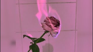 Lolo Zouaï - Desert Rose (slowed+reverb) Resimi