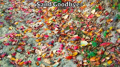Goodbye till next time...'Magic' in the air--Autum...