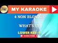 Karaoke 4 Non Blondes - What 