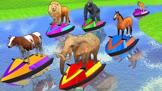 Learn Wild Animals On Speed Boat Race Video For Kids - Learn Animals Names \& Sounds For Toddlers