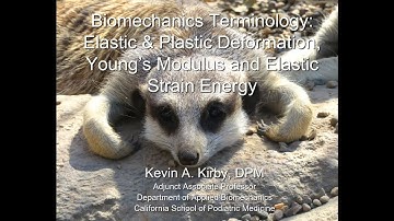 Biomechanics Terminology:  Elastic & Plastic Deformation, Elastic Modulus and Elastic Strain Energy