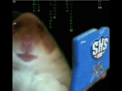 Hackforums.net - Enlighten your inner spooky hacker